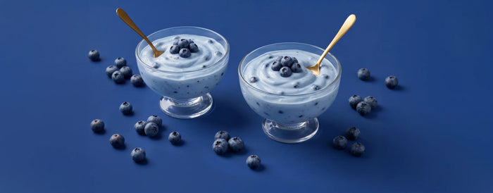 Two bowls of MaxiMeal Greek yogurt topped with blueberries on a blue background